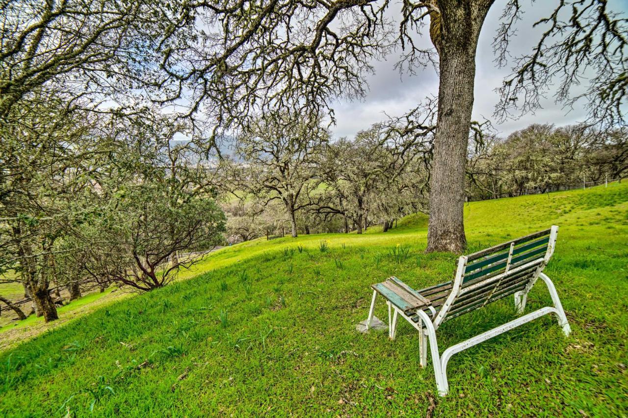 Hilltop Loft Ukiah Vacation Rental! Bagian luar foto